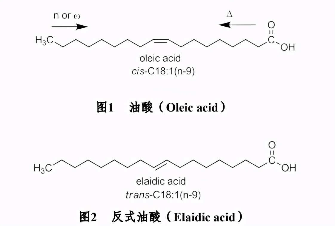 黄油的发展历程,人造黄油的发展历史