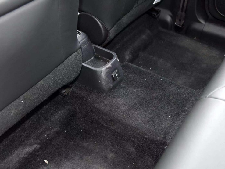 薛定谔的猫实测,欧拉白猫小野猫试驾