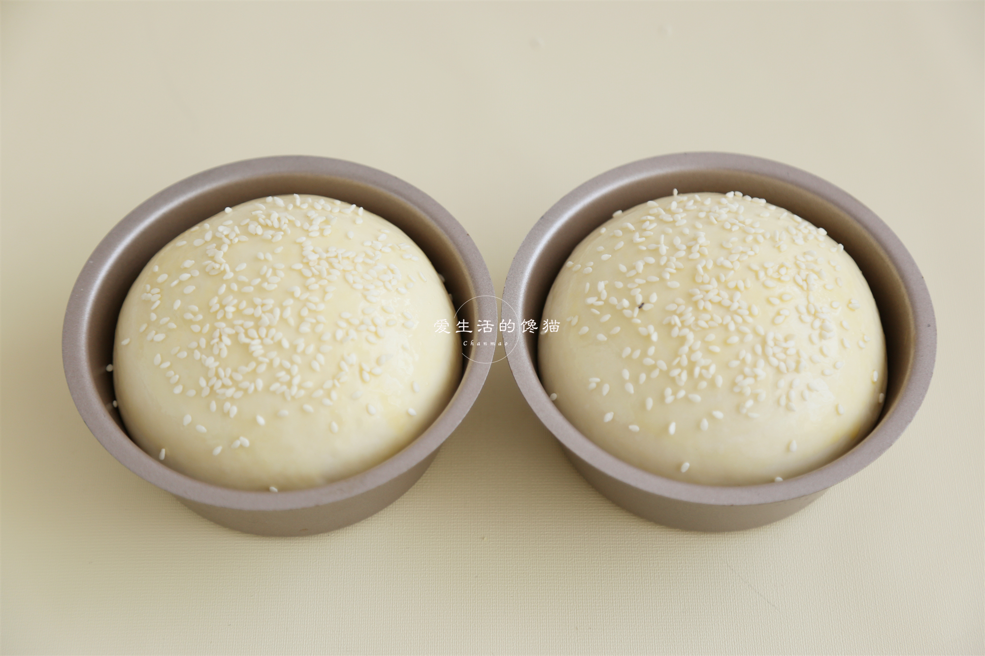 教你做猪排包汉堡,自制汉堡发朋友圈