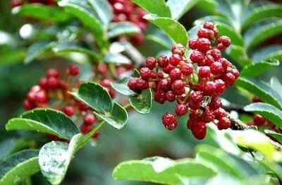 一个曾经很辉煌如今很低调的山城一一阳泉山西阳泉旅游介绍