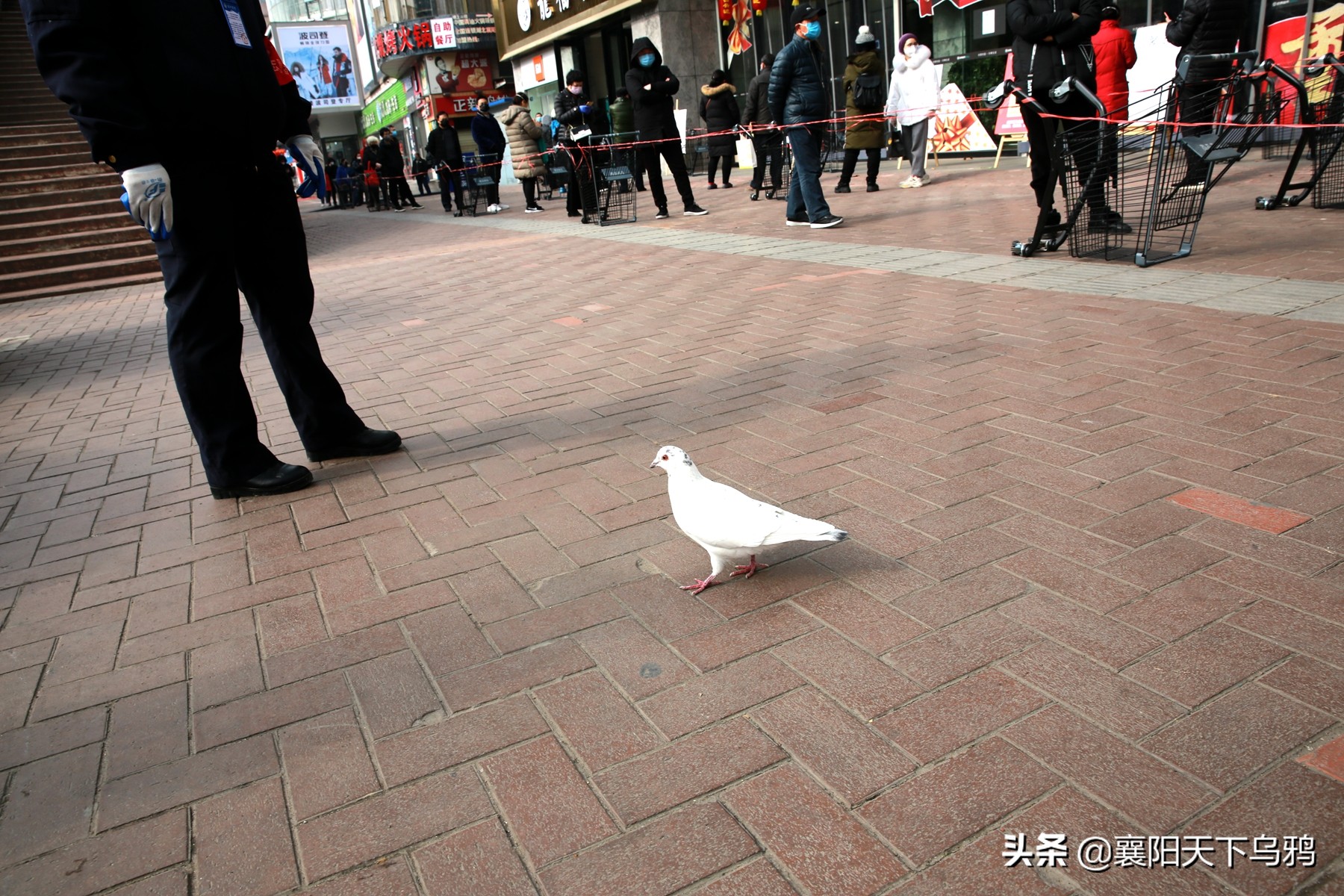 新冠病毒武汉现场,襄阳新冠肺炎疫情