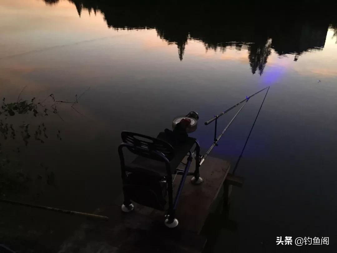 夜钓鱼口不好用什么饵料,晚上钓鱼饵料怎么搭配