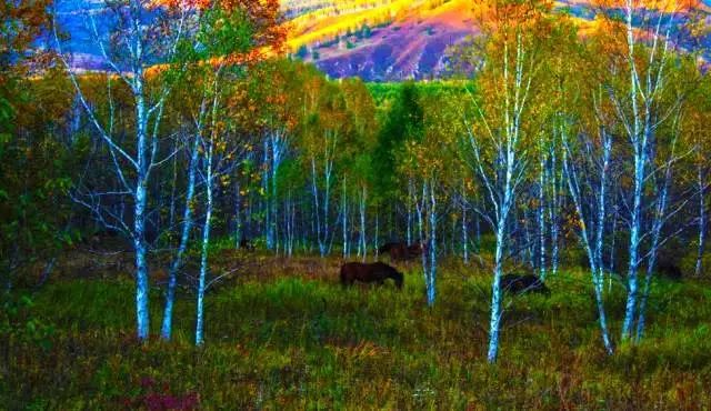 中国最美县城云南有几个,中国最美的100个地方云南