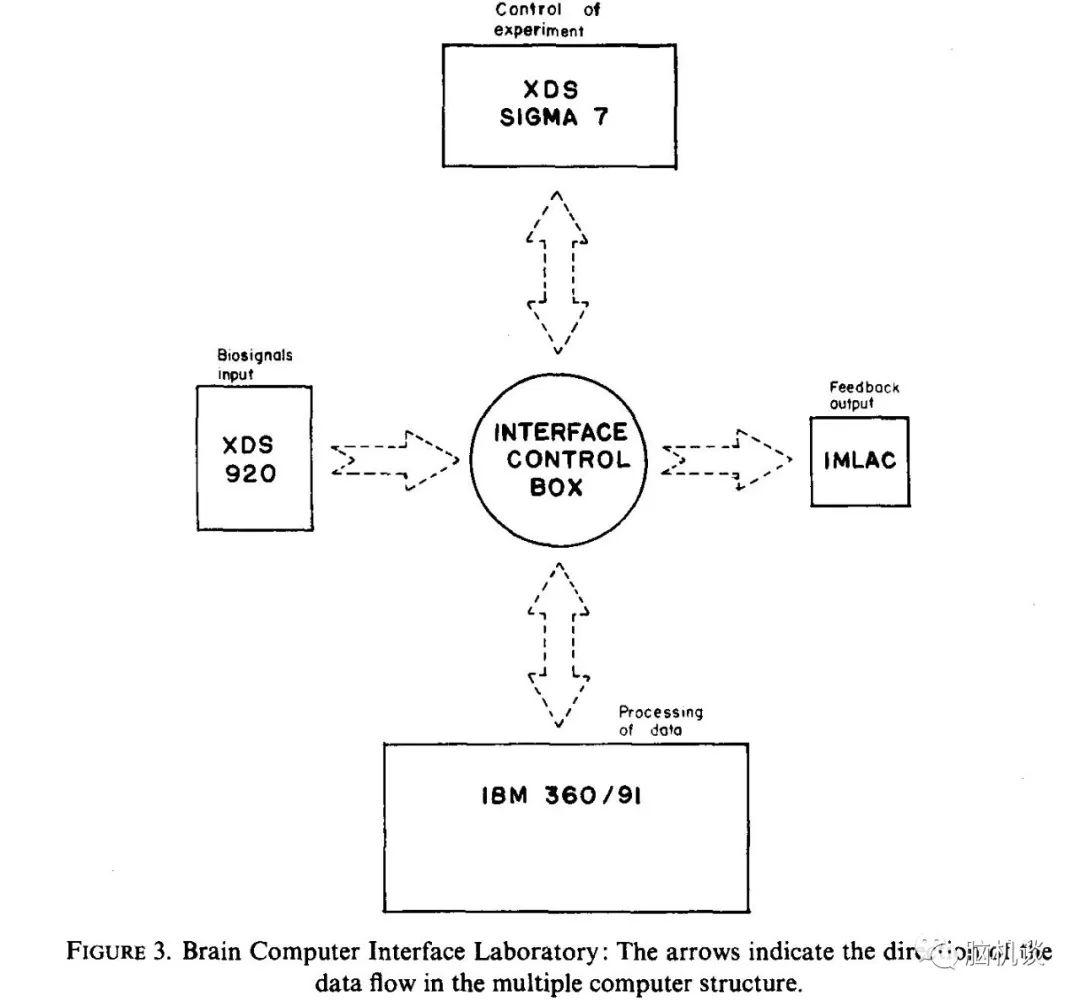 ​《脑机往事（3）—维达尔的秘密》