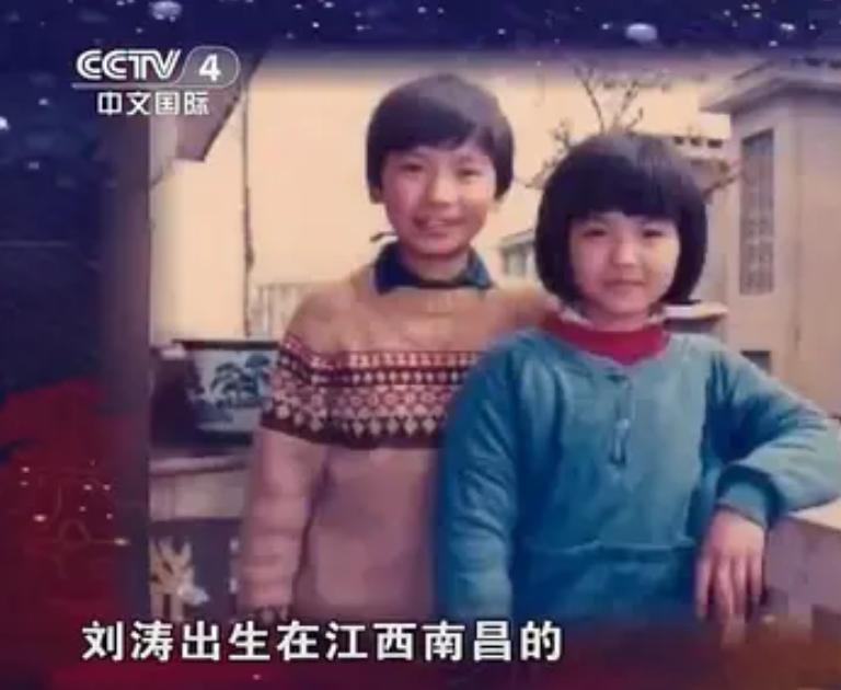 刘涛贤妻成长史,刘涛贤惠勤快