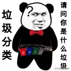 宠物粪便属于什么垃圾,垃圾分类猫砂粪便怎么归类