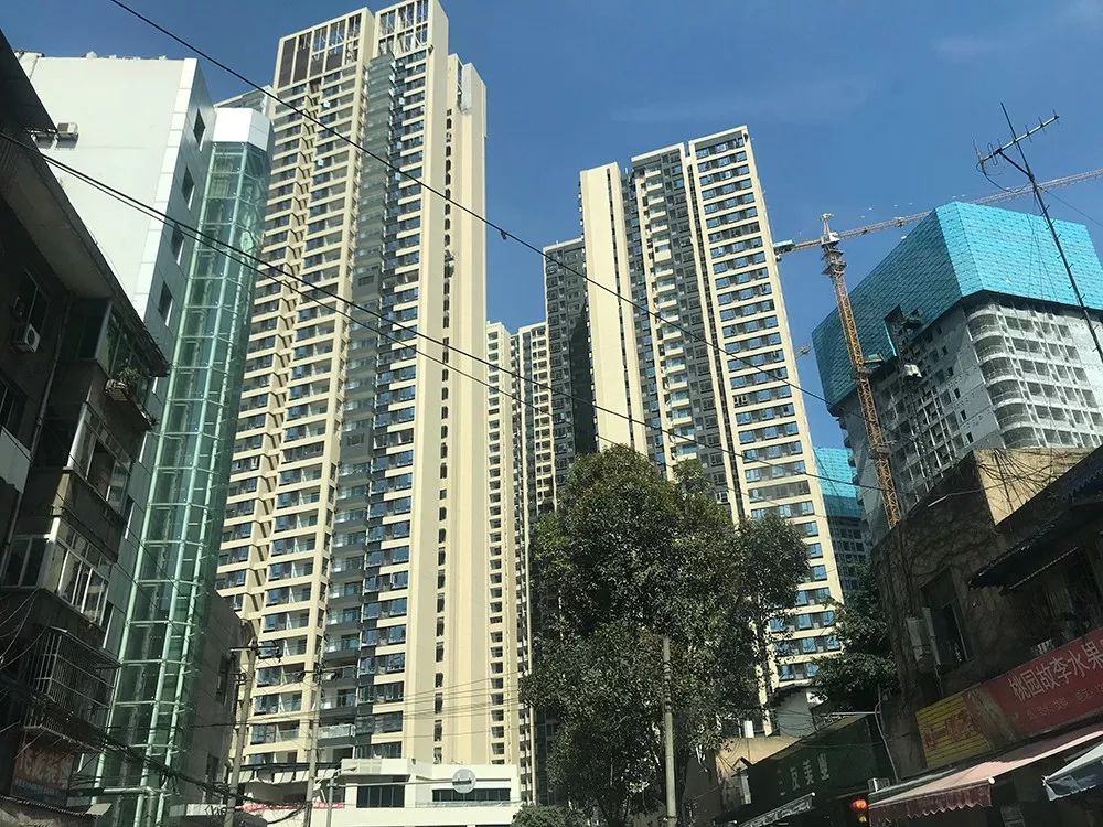 撩叔探“城”丨一环上最后的价值洼地，竟然被我发现了！