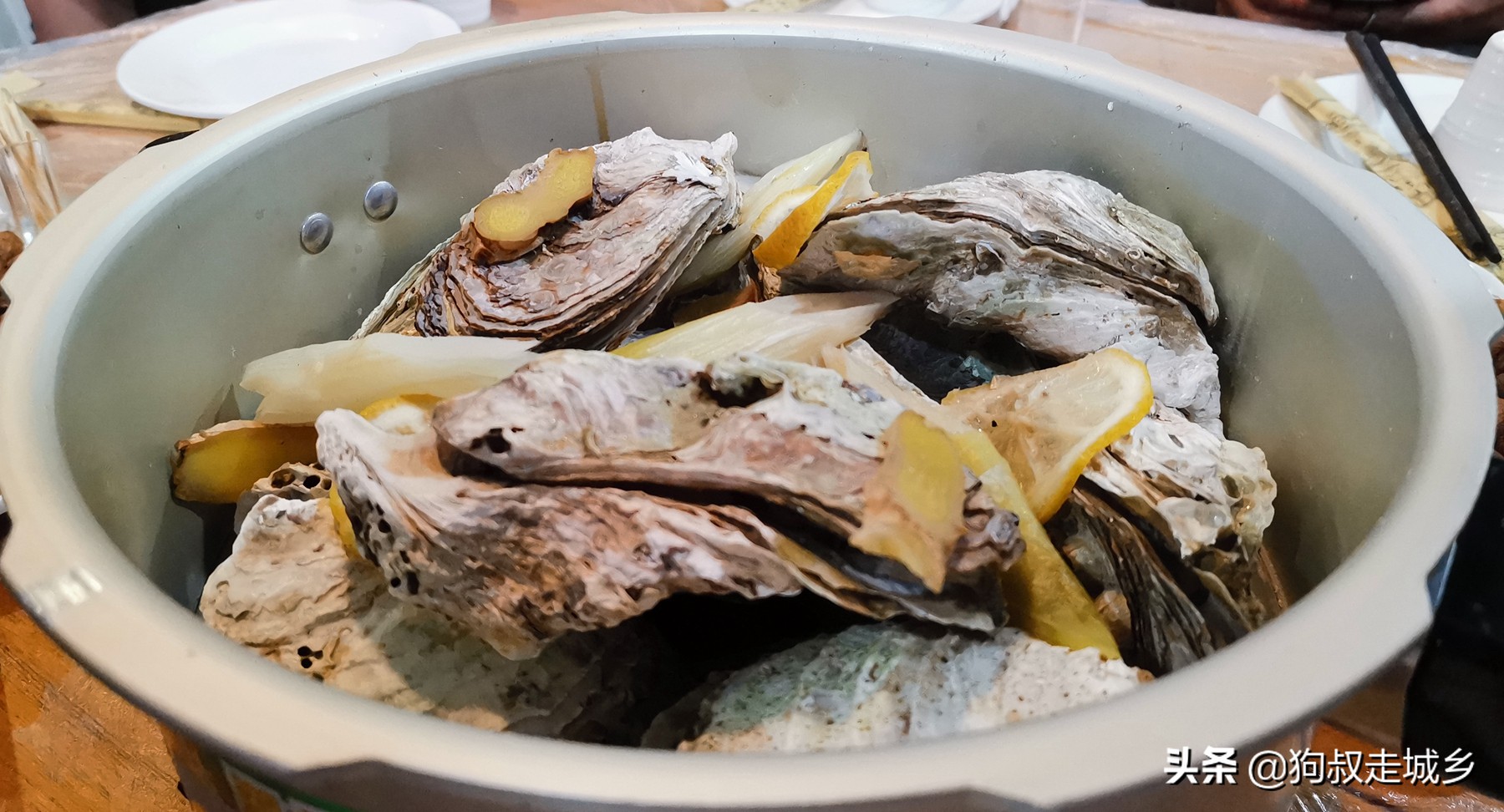 四川南充：这家网红霸王虾，让狗叔“丢人现眼”啊！