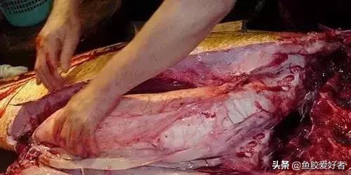 花胶最佳配方和价格,花胶应该怎样挑选