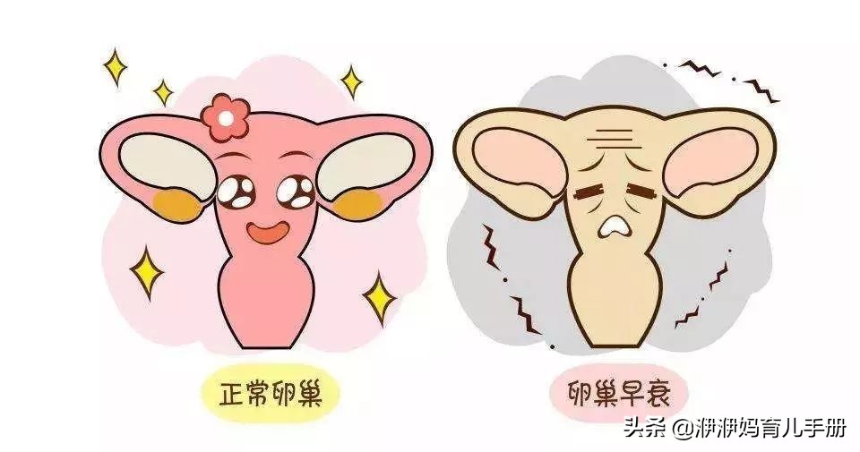 易孕体质一碰就怀孕意思,易孕体质的宝妈六胎