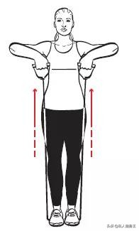 划船动作训练背阔肌,背部训练动作俯身划船