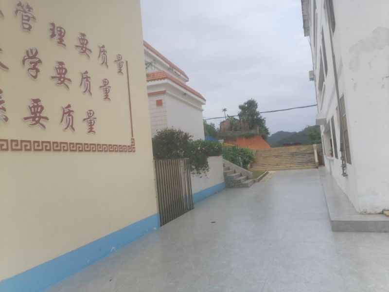 乡村学校生活变化,乡村学校的近几年发展变化