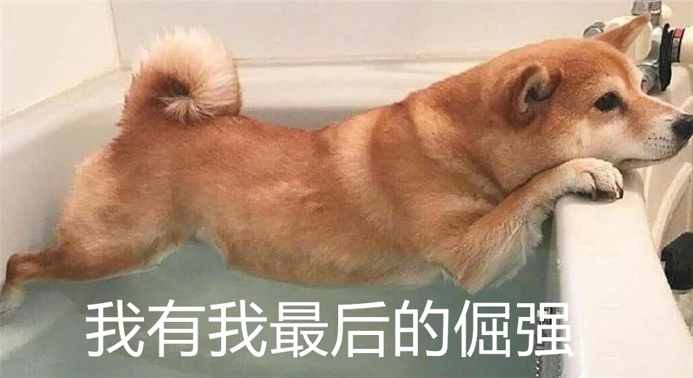 狗狗不能洗澡的五个时期,狗狗洗澡为什么不能那么频繁