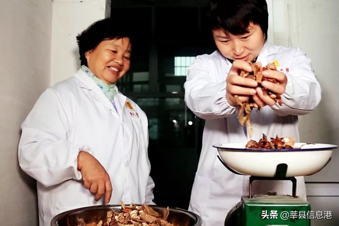 聊城非遗手艺人,聊城非遗传承人名单查询