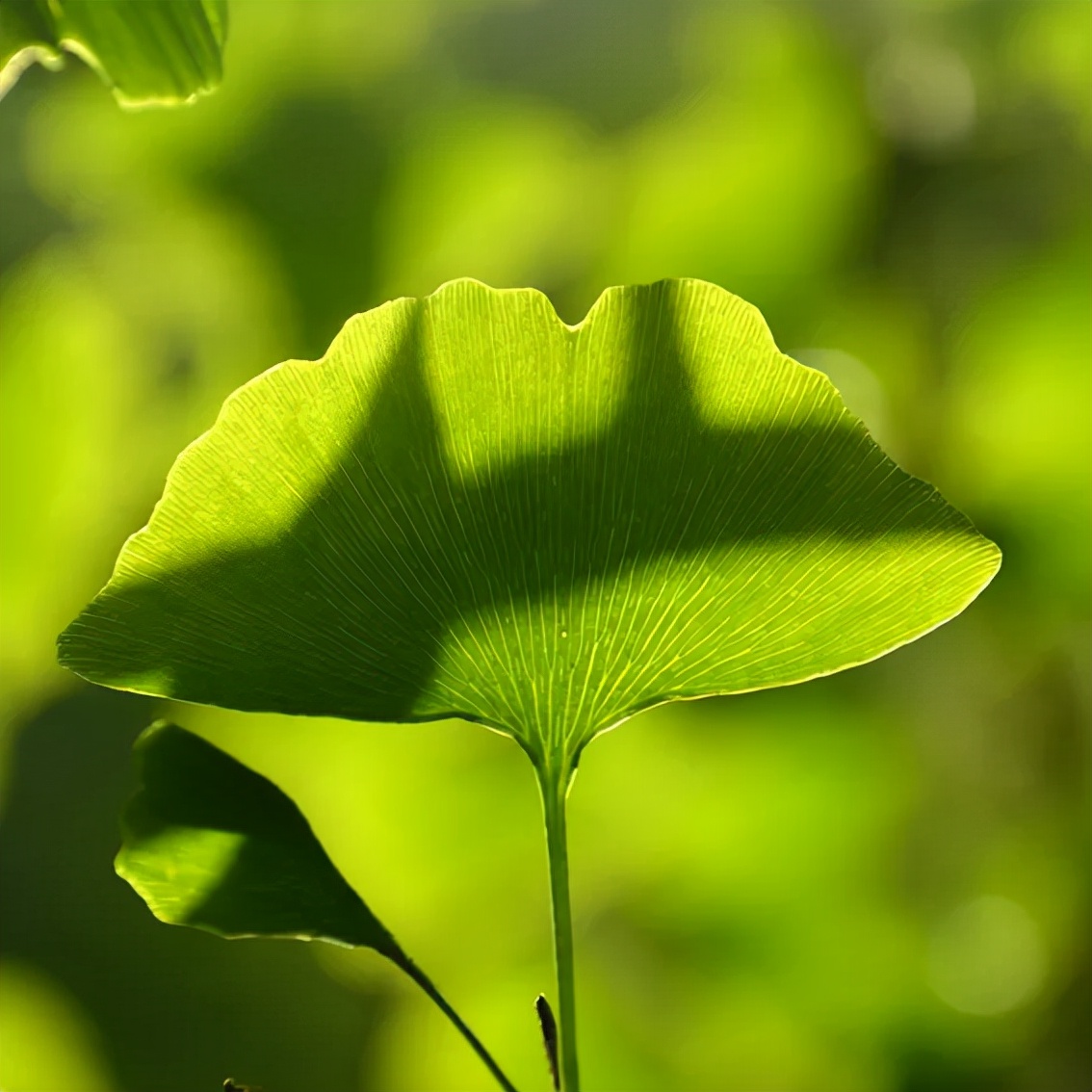 合肥融创茂宝藏秘境,合肥宝藏地