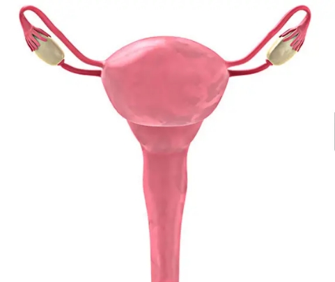 子宫前壁肌瘤不切子宫会复发吗,子宫下垂不切子宫行吗