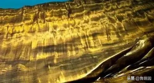 金丝楠木鉴别技巧详解,金丝楠木鉴别方法有哪些