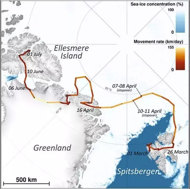 1116只鲨鱼被塑料缠住，不及余文乐发布一则视频引发的“痛感”