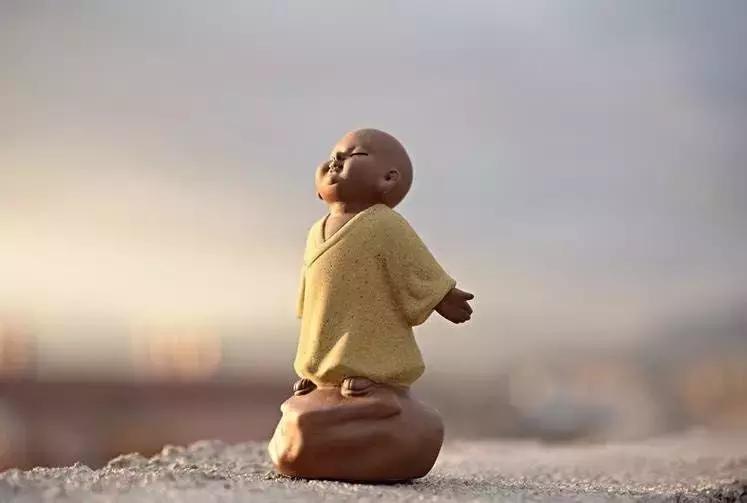 怎样茶宠越养越漂亮,怎样饲养茶宠