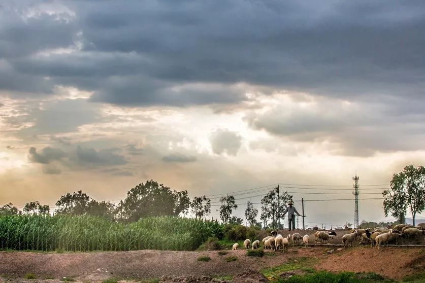 全国唯一用铜命名的城市,中国唯一以金属命名的城市