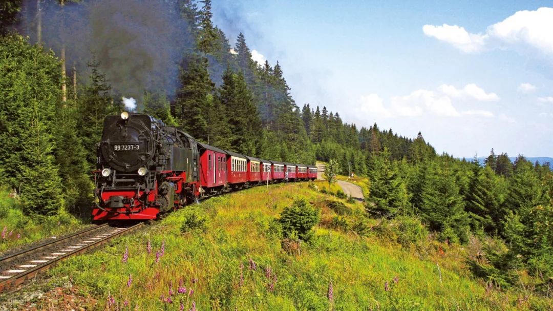 住在童话世界里,住在童话世界里的人