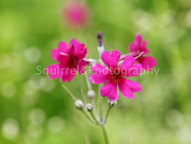 深度复盘巴菲特投资可口可乐,沃伦巴菲特的十大投资建议
