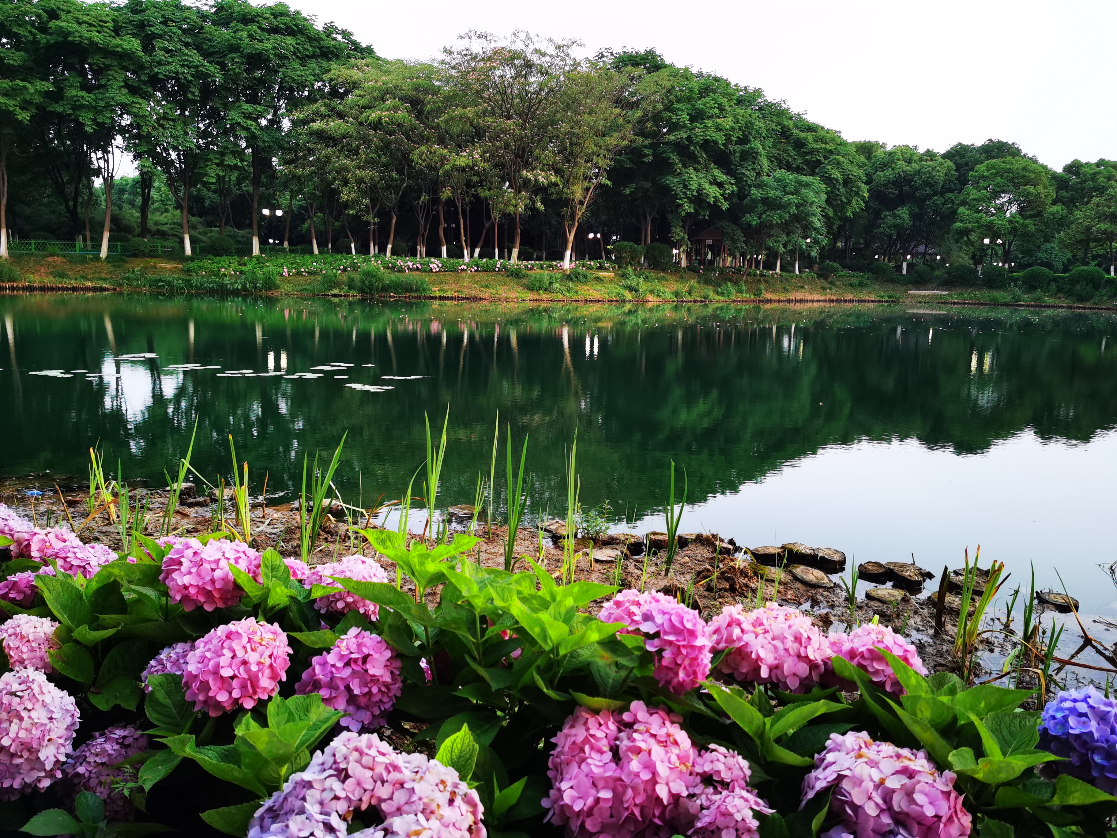 沉睡的历史与惊艳的现实——走读东西湖