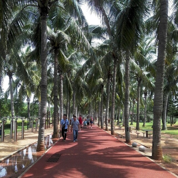 海口悠闲之旅深度体验椰城风情,椰海风情海口
