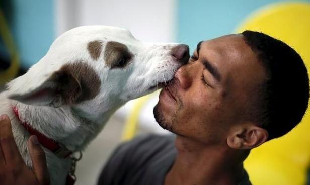 狗狗舔这5个位置，有重要事告诉你，不能忽视了