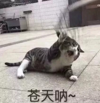 diy电脑最省钱的方法,电脑diy省钱小技巧