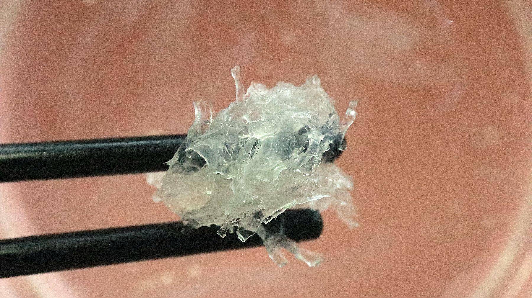 燕窝冻龄,燕窝到底有没有价值