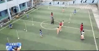 大山深处的人们生活的真好,大山里最值得尊重的人