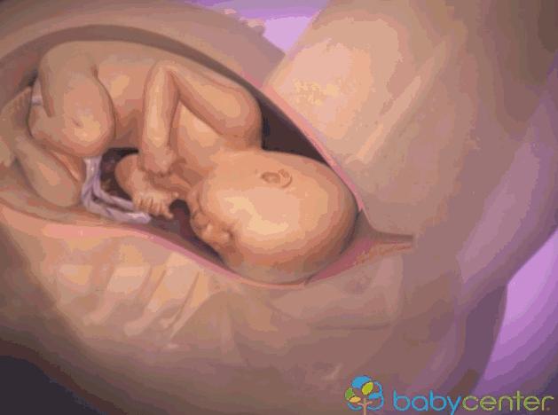 胎儿离开母体可以存活多久,胎儿脱离的瞬间