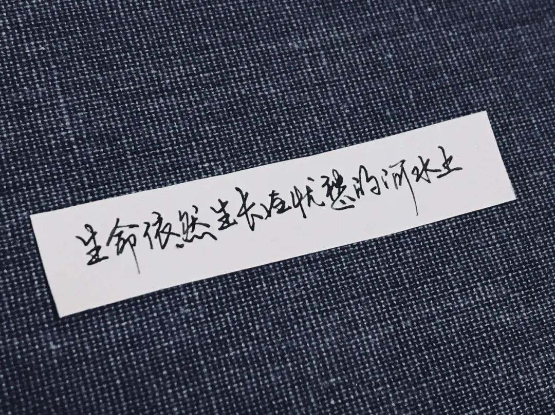 文具控的笔,各种钢笔测评完整版