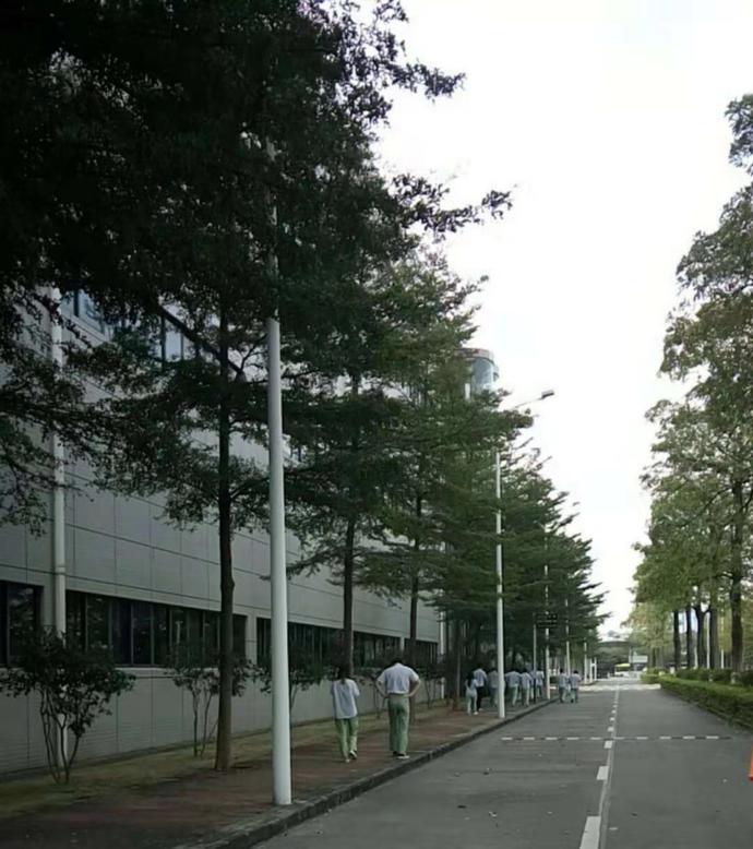 去年还是国产机第二梯队品牌领导者,如今却只能靠代工手机壳求生