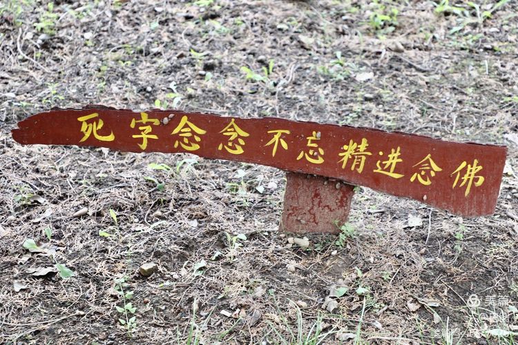 末伏偃师怀旧行，访古春秋时期滑国故城，探幽西天取经唐僧寺