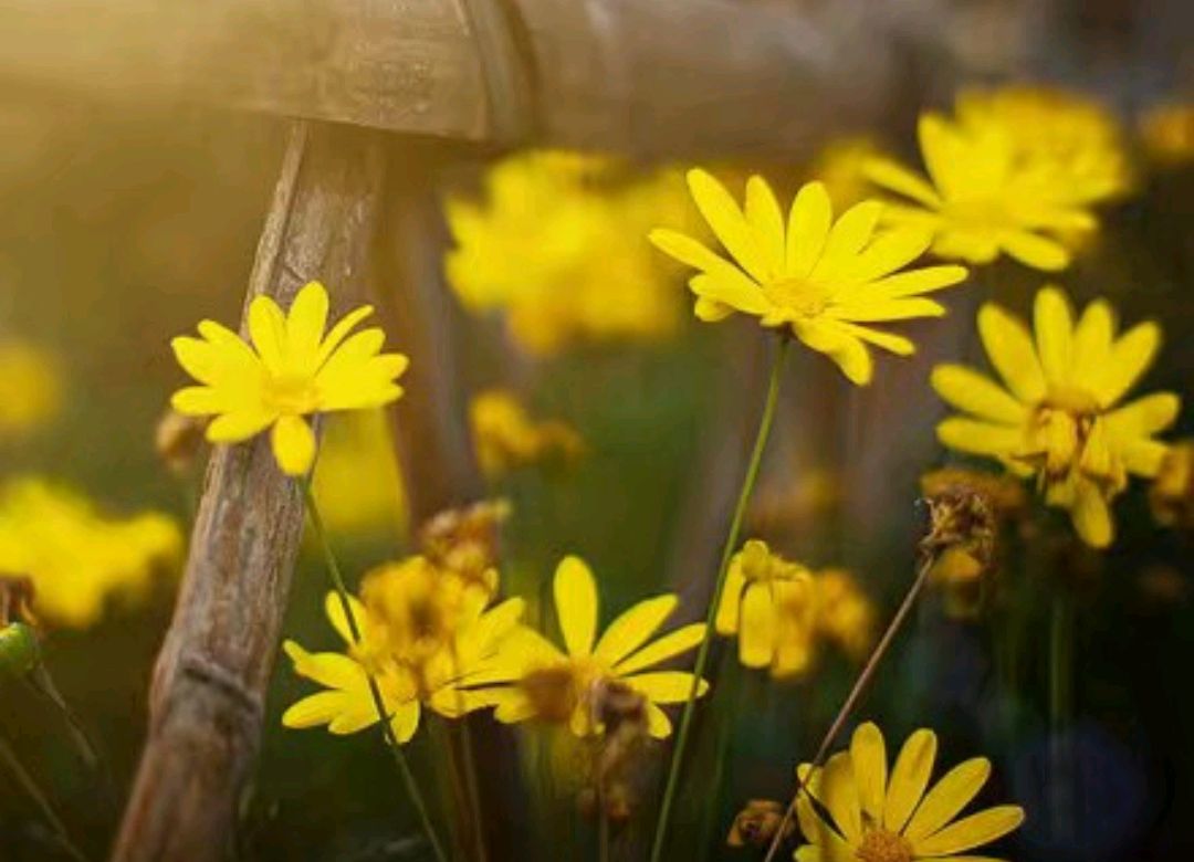 情商高的十大表现你了解几个,情商高的十大表现有哪些方面