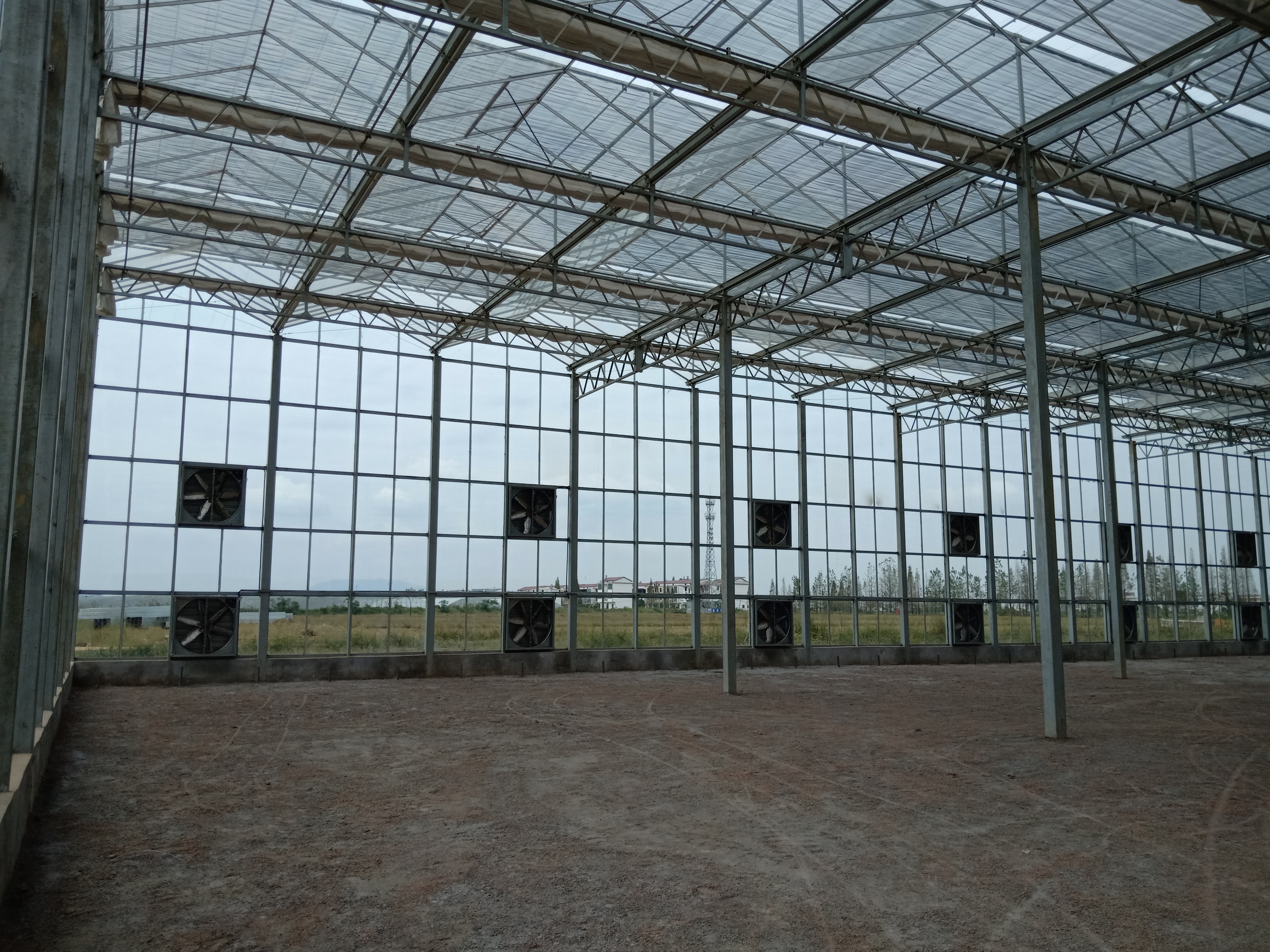 普通温室大棚一亩地造价多少,一亩全自动温室大棚要多少钱