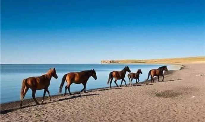 呼伦贝尔山区自然风景,呼伦贝尔沿途风景