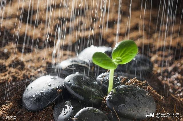怎样才能练好字书法,怎样才能练好字笔画