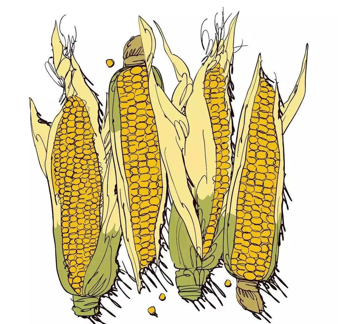 十一月ECA｜ThanksgivingParty盛大预告