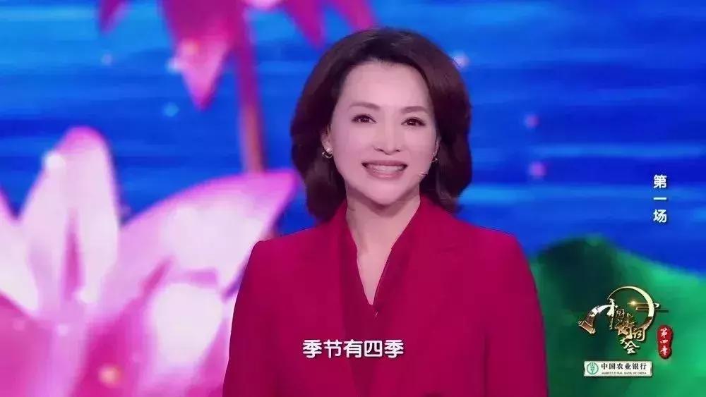 2019诗词大会董卿开场词,董卿诗词大会开场视频