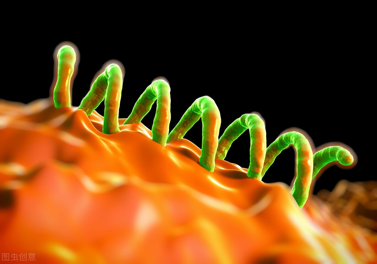 尖锐性湿疣是艾滋病和梅毒吗,尖锐湿疣和梅毒艾滋病有什么关系