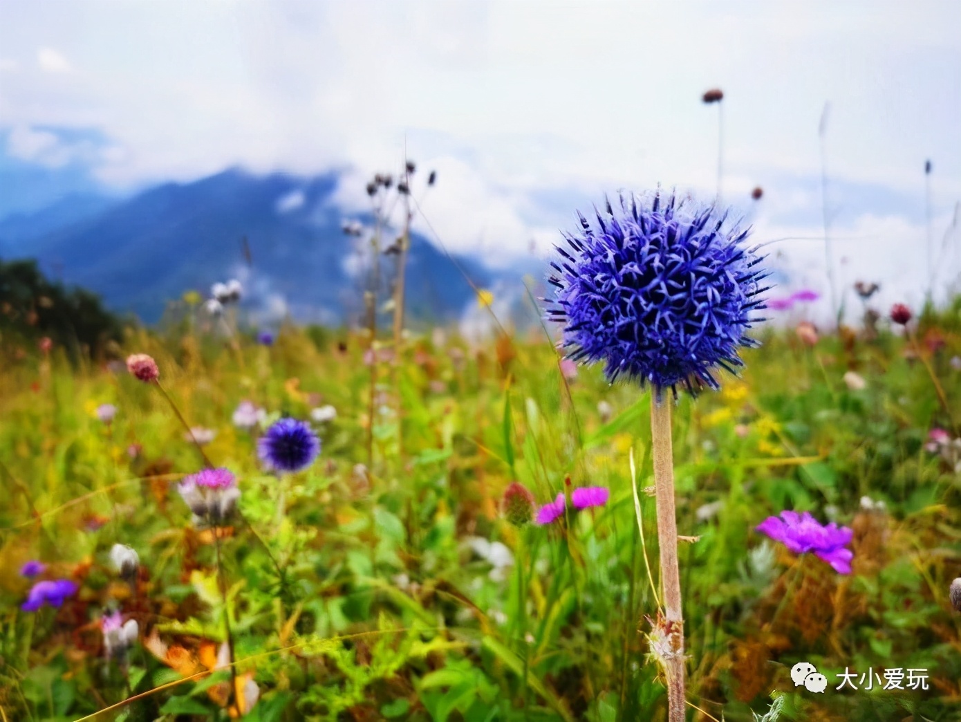 北京精品步道,北京最美十大登山步道