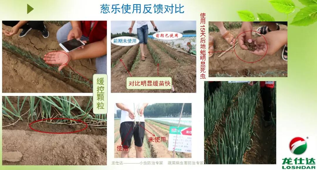 一浇水就没虫!真的吗?智能缓控释颗粒,向您推荐的五大理由