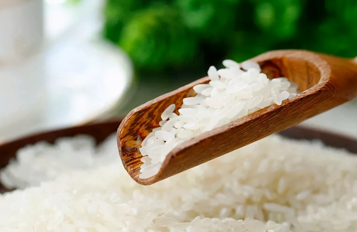 哈尔滨特产美食可带走的前十名,哈尔滨特产必带大米