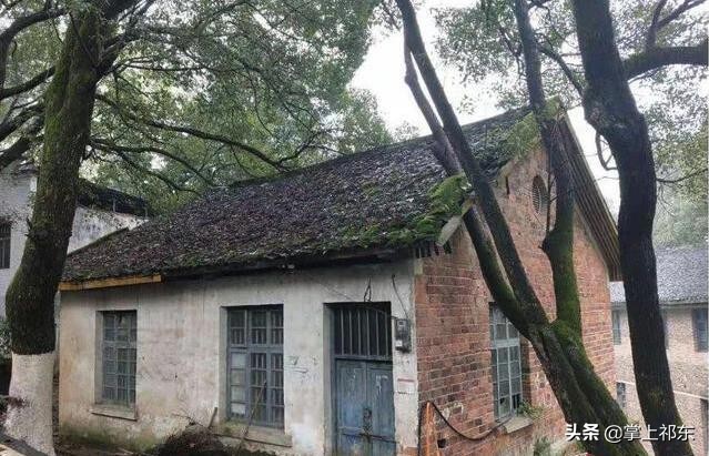 大山深处我的家完整版,大山深处我的家在哪里