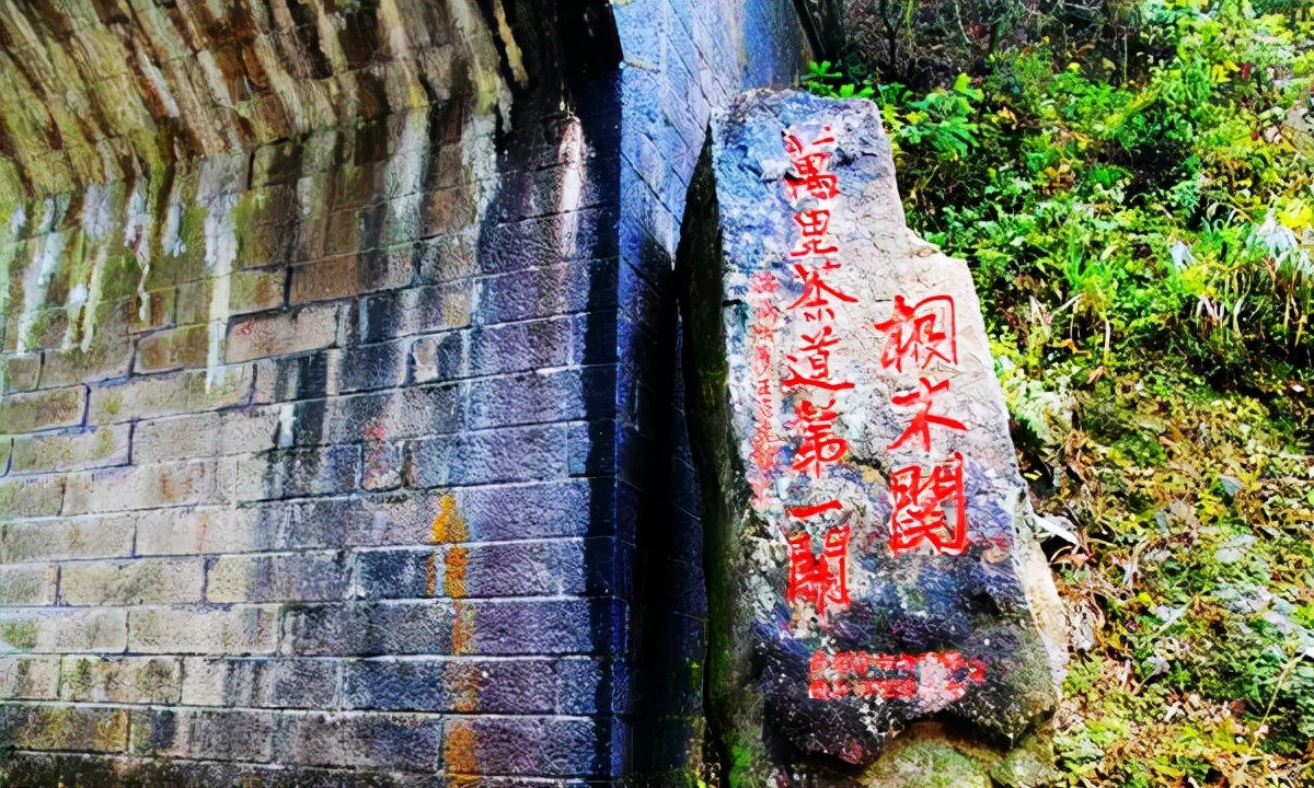 江西武陵红茶,江西最好的红茶