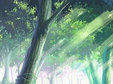 十本好看的同人小说,四本不同类型精彩小说推荐