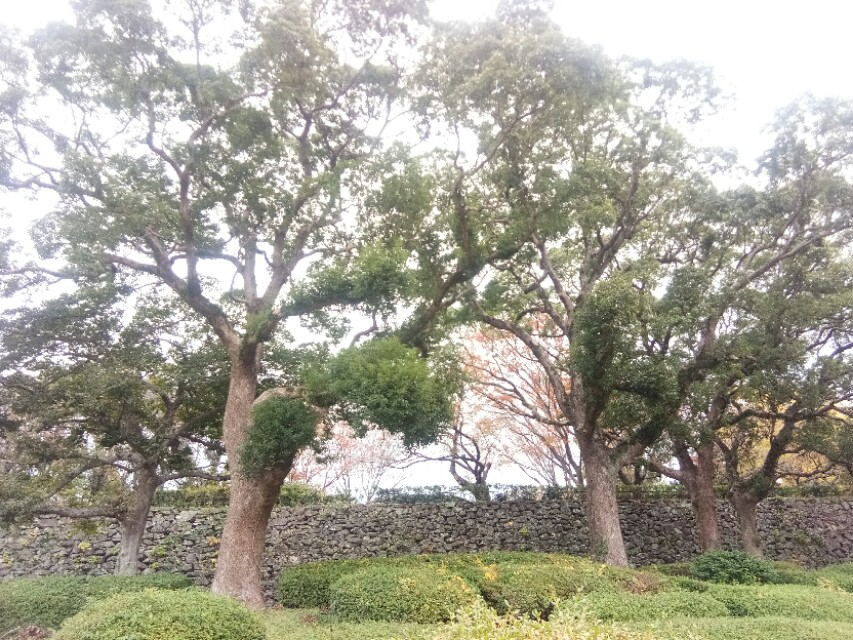 日本福冈印象――俩大包子花了64.88